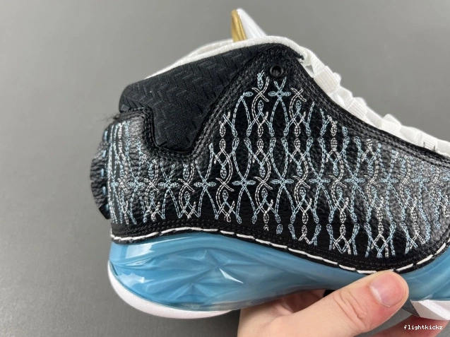 23 UNC Jordan 318376-041 0802